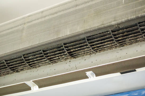 Best Air Duct Sanitization & Disinfection in Gananda, NY